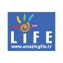 Amazing Life (Удивительная жизнь)
